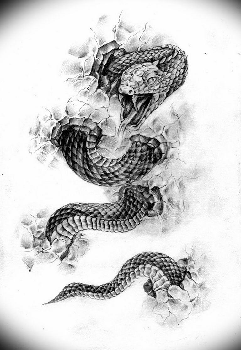 snake tattoo photo 28.01.2019 №201 - snake tattoo idea - tattoovalue.net