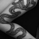 snake tattoo photo 28.01.2019 №204 - snake tattoo idea - tattoovalue.net