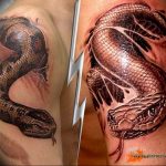 snake tattoo photo 28.01.2019 №207 - snake tattoo idea - tattoovalue.net