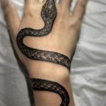 snake tattoo photo 28.01.2019 №210 - snake tattoo idea - tattoovalue.net