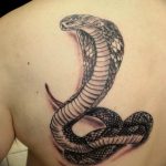 snake tattoo photo 28.01.2019 №211 - snake tattoo idea - tattoovalue.net