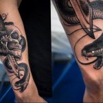 snake tattoo photo 28.01.2019 №212 - snake tattoo idea - tattoovalue.net