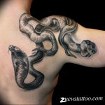 snake tattoo photo 28.01.2019 №214 - snake tattoo idea - tattoovalue.net