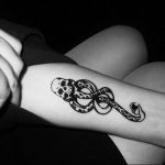 snake tattoo photo 28.01.2019 №219 - snake tattoo idea - tattoovalue.net