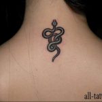 snake tattoo photo 28.01.2019 №228 - snake tattoo idea - tattoovalue.net
