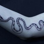 snake tattoo photo 28.01.2019 №231 - snake tattoo idea - tattoovalue.net