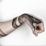 snake tattoo photo 28.01.2019 №239 - snake tattoo idea - tattoovalue.net