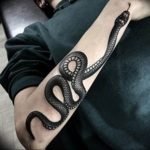 snake tattoo photo 28.01.2019 №244 - snake tattoo idea - tattoovalue.net