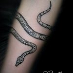 snake tattoo photo 28.01.2019 №247 - snake tattoo idea - tattoovalue.net