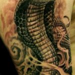 snake tattoo photo 28.01.2019 №250 - snake tattoo idea - tattoovalue.net