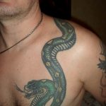 snake tattoo photo 28.01.2019 №256 - snake tattoo idea - tattoovalue.net
