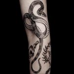 snake tattoo photo 28.01.2019 №267 - snake tattoo idea - tattoovalue.net