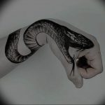 snake tattoo photo 28.01.2019 №268 - snake tattoo idea - tattoovalue.net