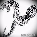 snake tattoo photo 28.01.2019 №280 - snake tattoo idea - tattoovalue.net