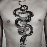 snake tattoo photo 28.01.2019 №291 - snake tattoo idea - tattoovalue.net
