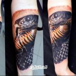 snake tattoo photo 28.01.2019 №295 - snake tattoo idea - tattoovalue.net