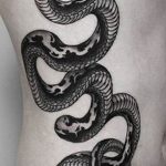 snake tattoo photo 28.01.2019 №298 - snake tattoo idea - tattoovalue.net