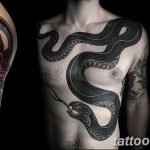 snake tattoo photo 28.01.2019 №309 - snake tattoo idea - tattoovalue.net