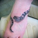 snake tattoo photo 28.01.2019 №314 - snake tattoo idea - tattoovalue.net