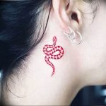 snake tattoo photo 28.01.2019 №334 - snake tattoo idea - tattoovalue.net