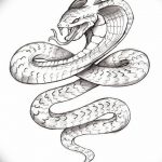 snake tattoo photo 28.01.2019 №336 - snake tattoo idea - tattoovalue.net