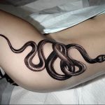 snake tattoo photo 28.01.2019 №339 - snake tattoo idea - tattoovalue.net