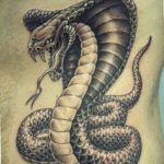 snake tattoo photo 28.01.2019 №342 - snake tattoo idea - tattoovalue.net
