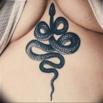 snake tattoo photo 28.01.2019 №343 - snake tattoo idea - tattoovalue.net