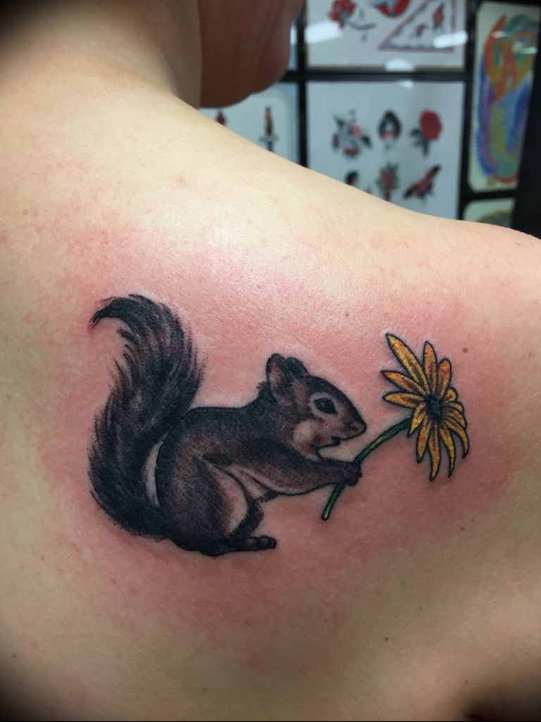 Squirrel Line art Stockholm Simple Black and white Single needle  Patricia Gea  Squirrel tattoo Subtle tattoos Tribute tattoos