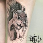 Photo tattoo Squirrel 04.02.2019 №005 - idea for a squirrel tattoo - tattoovalue.net