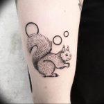 Photo tattoo Squirrel 04.02.2019 №008 - idea for a squirrel tattoo - tattoovalue.net