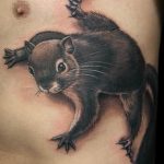 Photo tattoo Squirrel 04.02.2019 №019 - idea for a squirrel tattoo - tattoovalue.net