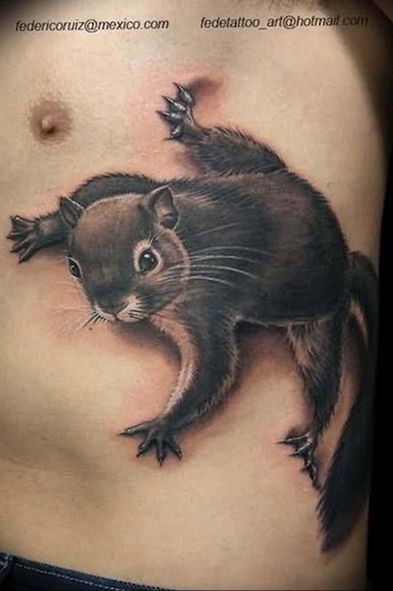 Tattoo Johnny  Squirrel Tattoos
