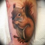 Photo tattoo Squirrel 04.02.2019 №024 - idea for a squirrel tattoo - tattoovalue.net
