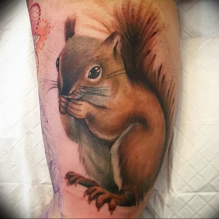 Photo tattoo Squirrel 04.02.2019 № 024 - idea for a squirrel tattoo - tatto...
