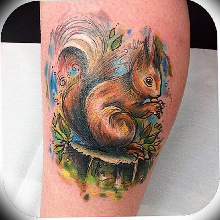 Photo tattoo Squirrel 04.02.2019 № 037 - idea for a squirrel tattoo - tatto...