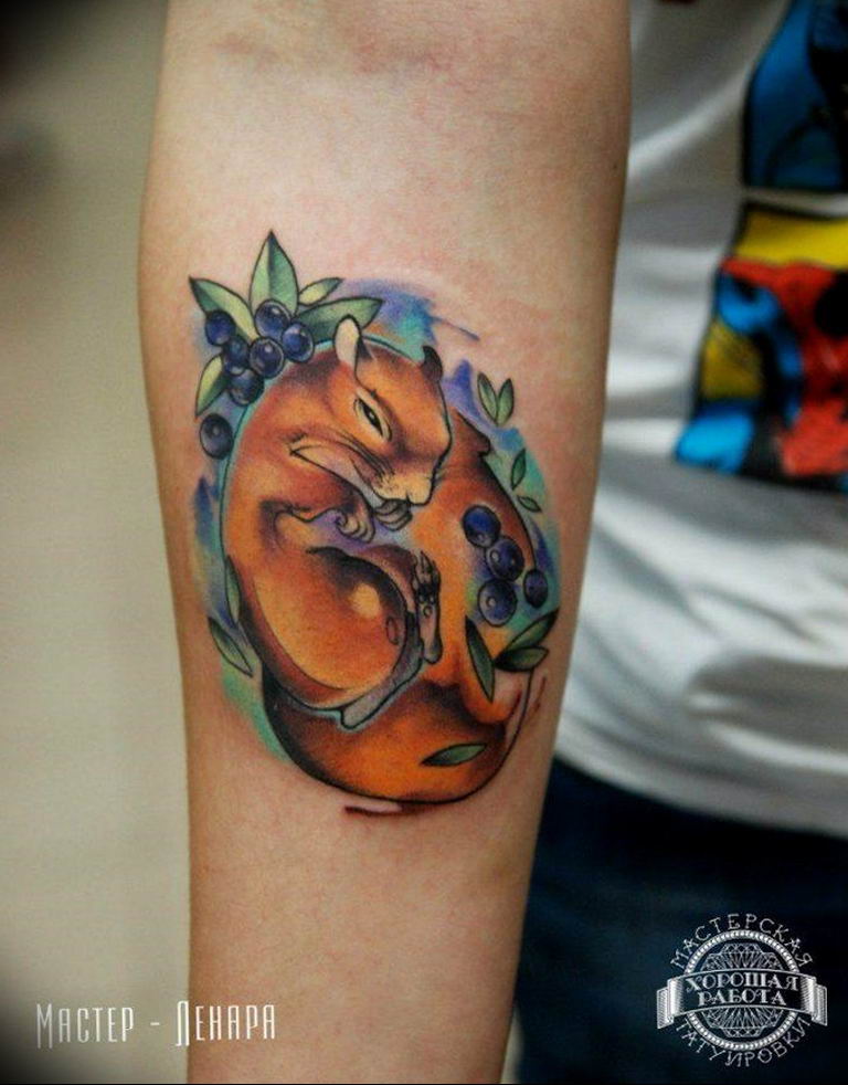 Photo tattoo Squirrel 04.02.2019 № 046 - idea for a squirrel tattoo - tatto...