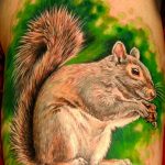 Photo tattoo Squirrel 04.02.2019 №057 - idea for a squirrel tattoo - tattoovalue.net