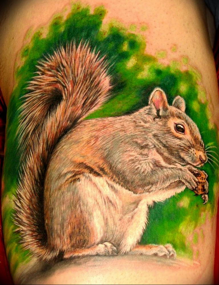 Photo tattoo Squirrel 04.02.2019 № 057 - idea for a squirrel tattoo - tatto...