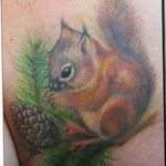 Photo tattoo Squirrel 04.02.2019 №065 - idea for a squirrel tattoo - tattoovalue.net