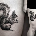 Photo tattoo Squirrel 04.02.2019 №118 - idea for a squirrel tattoo - tattoovalue.net