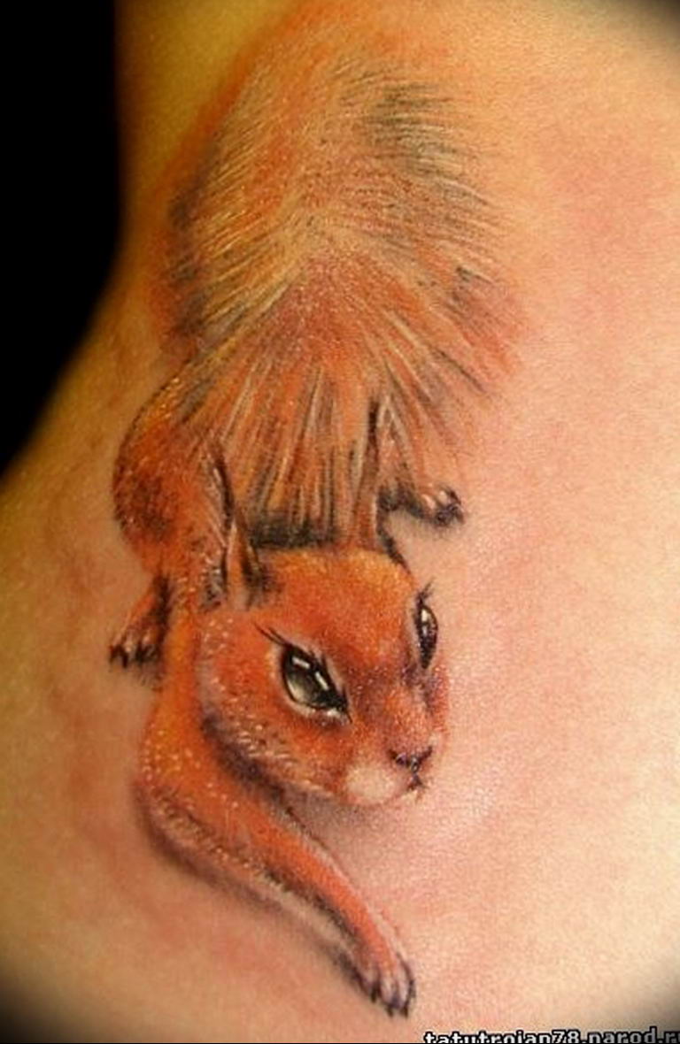 тату белка эскиз. тату бельчонок. белочка тата. тату белка. белочка тата.