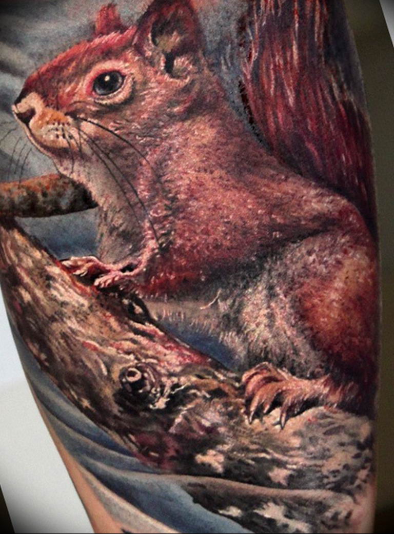 Return to The squirrel tattoo meaning. 