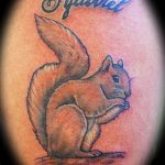 Photo tattoo Squirrel 04.02.2019 №210 - idea for a squirrel tattoo - tattoovalue.net