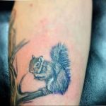 Photo tattoo Squirrel 04.02.2019 №221 - idea for a squirrel tattoo - tattoovalue.net