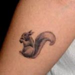 Photo tattoo Squirrel 04.02.2019 №003 - idea for a squirrel tattoo - tattoovalue.net
