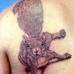 Photo tattoo Squirrel 04.02.2019 №032 - idea for a squirrel tattoo - tattoovalue.net