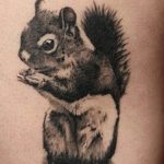 Photo tattoo Squirrel 04.02.2019 №043 - idea for a squirrel tattoo - tattoovalue.net