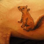 Photo tattoo Squirrel 04.02.2019 №072 - idea for a squirrel tattoo - tattoovalue.net