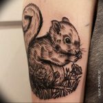 Photo tattoo Squirrel 04.02.2019 №076 - idea for a squirrel tattoo - tattoovalue.net